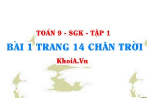 Bài 1 trang 14 Toán 9 Chân trời sáng tạo Tập 1